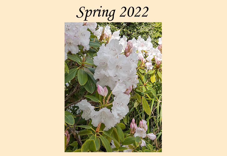 Photographs, Spring 2022.